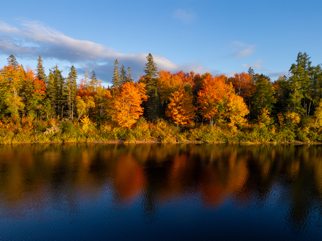 A calm lake reflects a forest filled with colorful autumn trees under a soft evening sky.